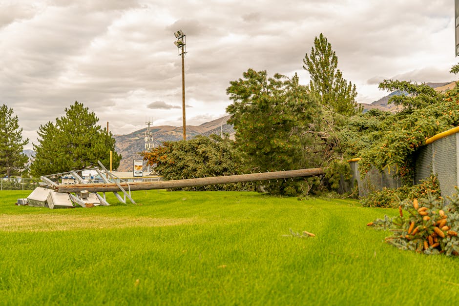 Storm Damage Repair — Photo by Castorly Stock on Pexels