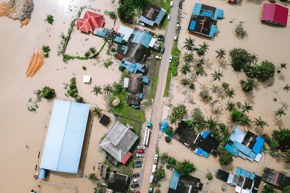 Water Damage Mitigation Water damage restoration — Photo by Pok Rie on Pexels