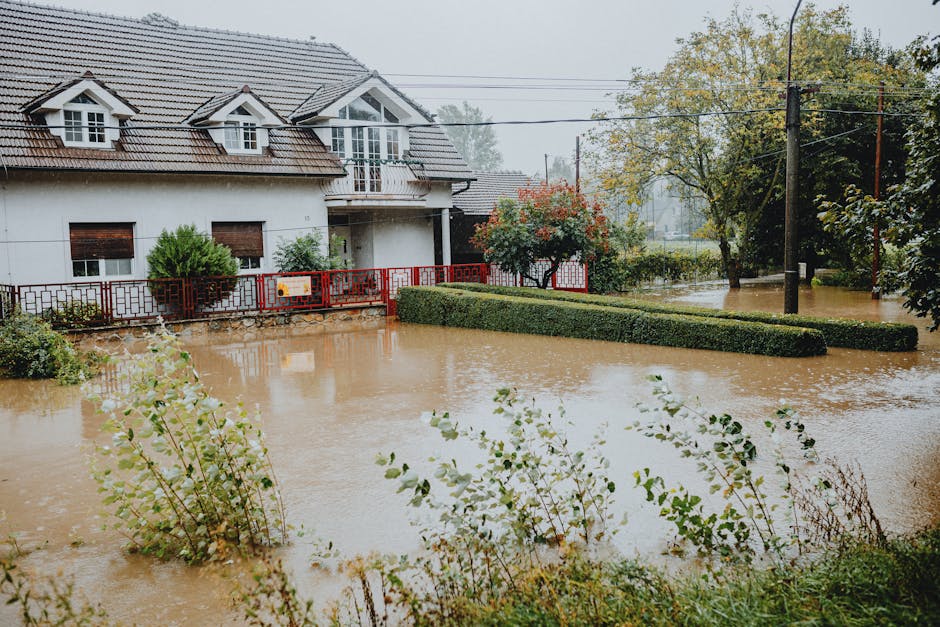 Flood Damage Restoration Water damage restoration — Photo by Helena Jankovičová Kováčová on Pexels
